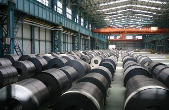 Il carbonio ha laminato a freddo la bobina 3mm dell'acciaio dolce St37 20mm JIS diplomato